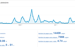 Site internet du P2F: 1ère statistique!